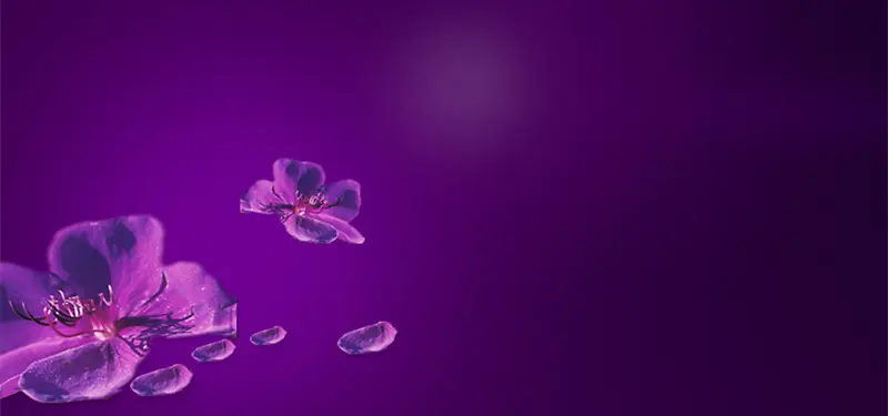 紫色化妆品背景