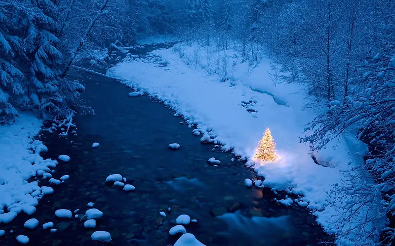 雪后的圣诞节灯光树
