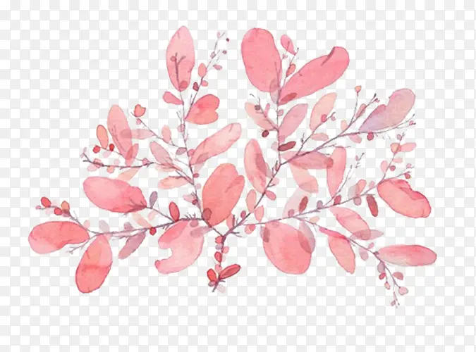 粉色树叶