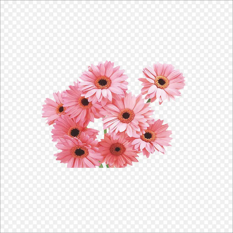 粉红色的花