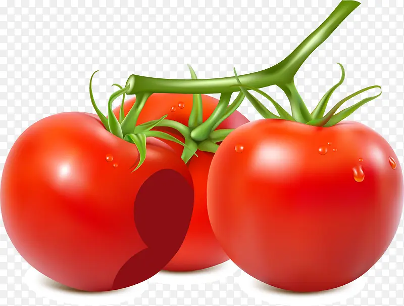 红色简约西红柿