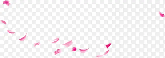 粉红色花瓣装饰