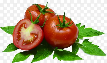 新鲜西红柿蔬菜背景图
