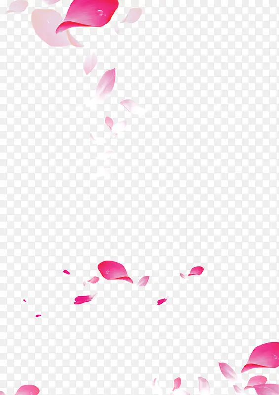 粉红色花瓣淡白色花瓣