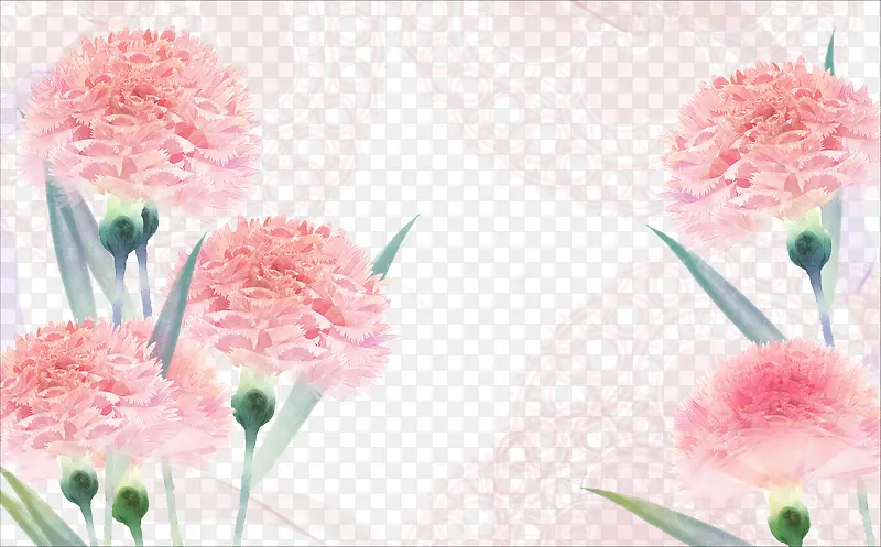 手绘粉红色康乃馨