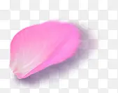 粉红色高清花瓣