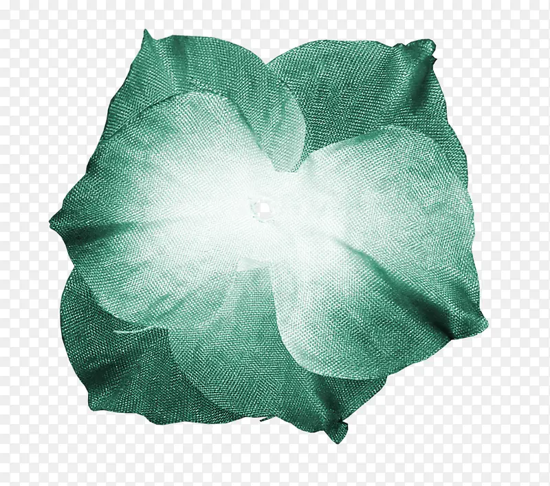 鲜花素材植物花卉素材