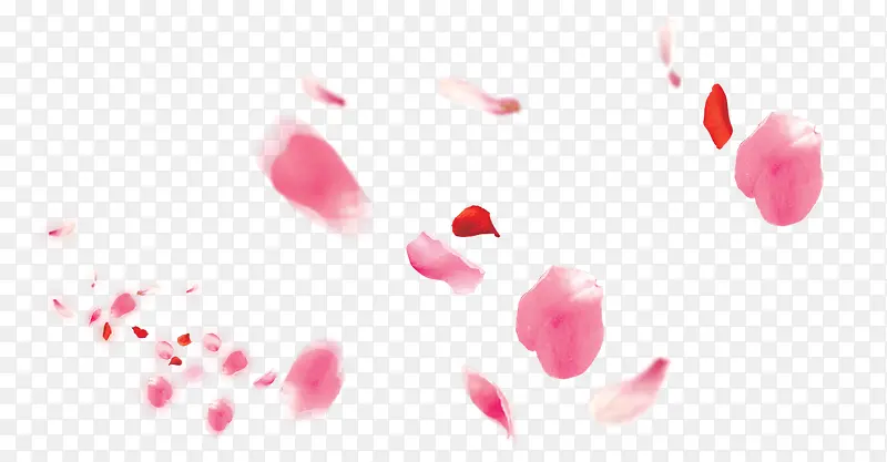 花瓣粉红色花瓣图标