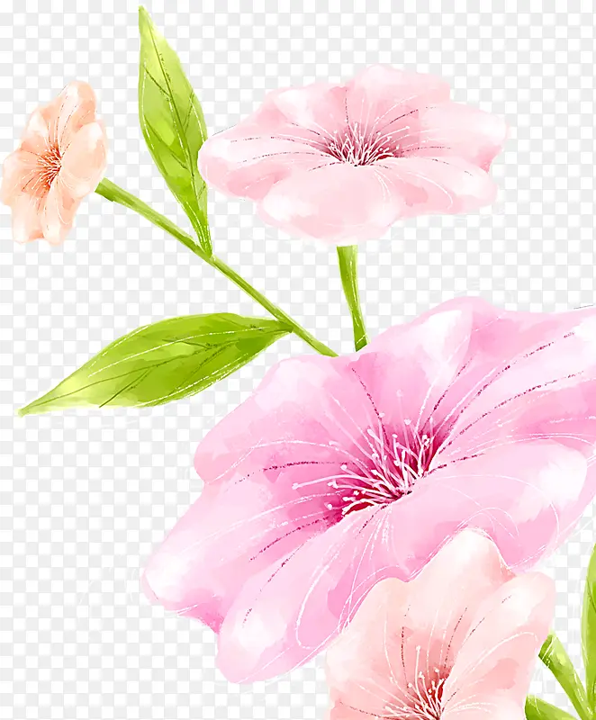 粉色手绘鲜花花朵梦幻