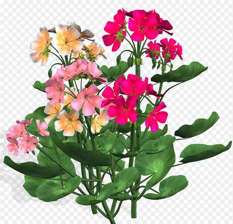 美丽花束