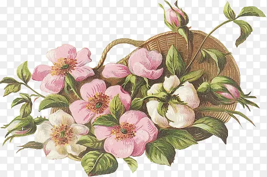古典手绘粉红鲜花花篮
