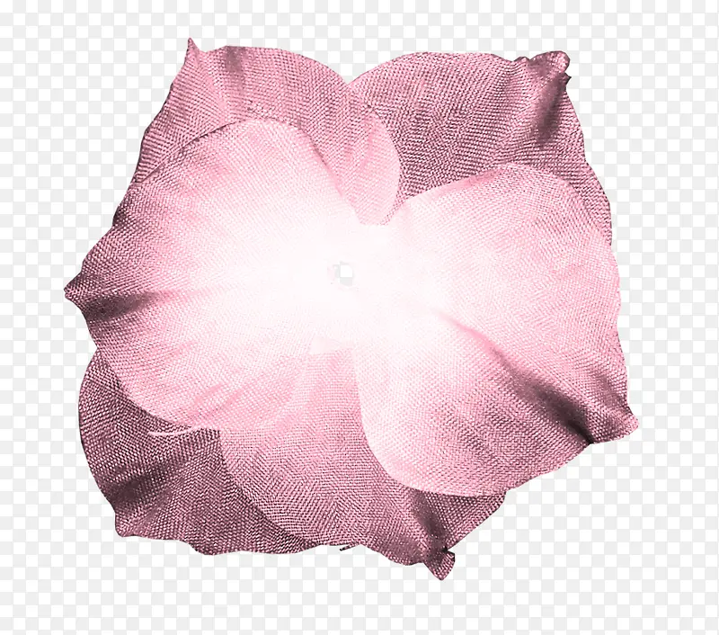植物花卉素材花朵素材