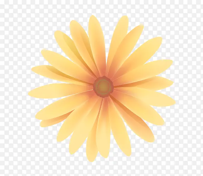 黄色太阳花