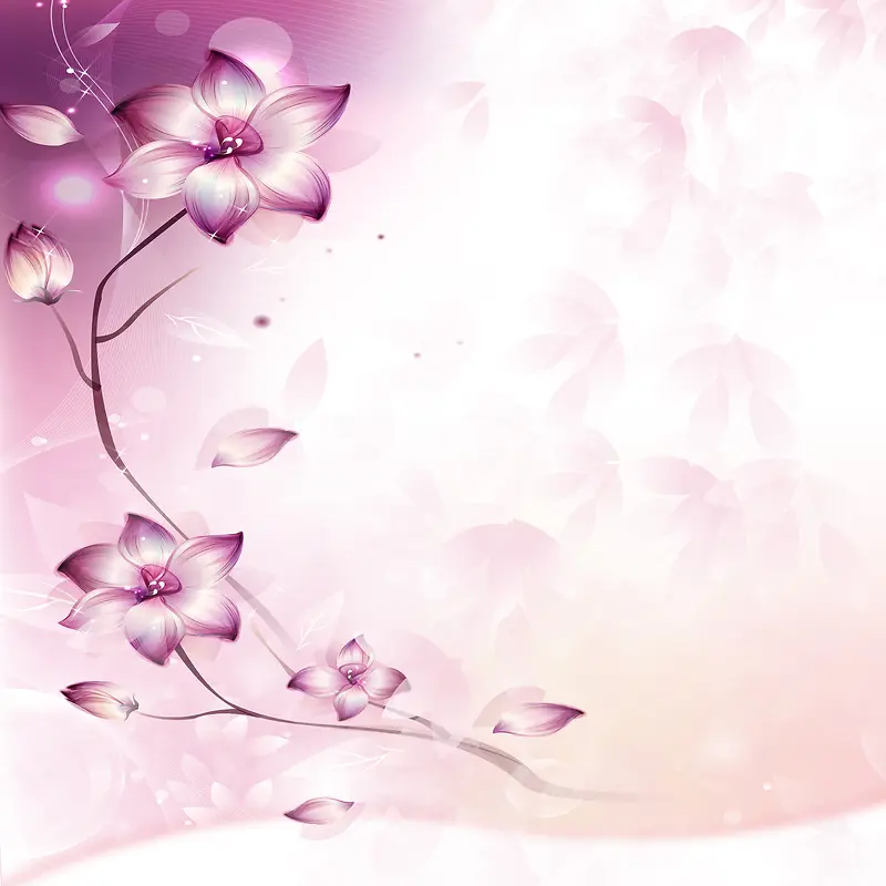 花卉背景设计