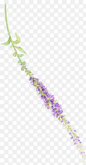 春天手绘紫色鲜花植物装饰
