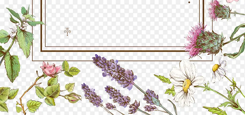 水彩清新手绘装饰花卉PNG图片素材下载_图片编号qxovvdgj-免抠素材网