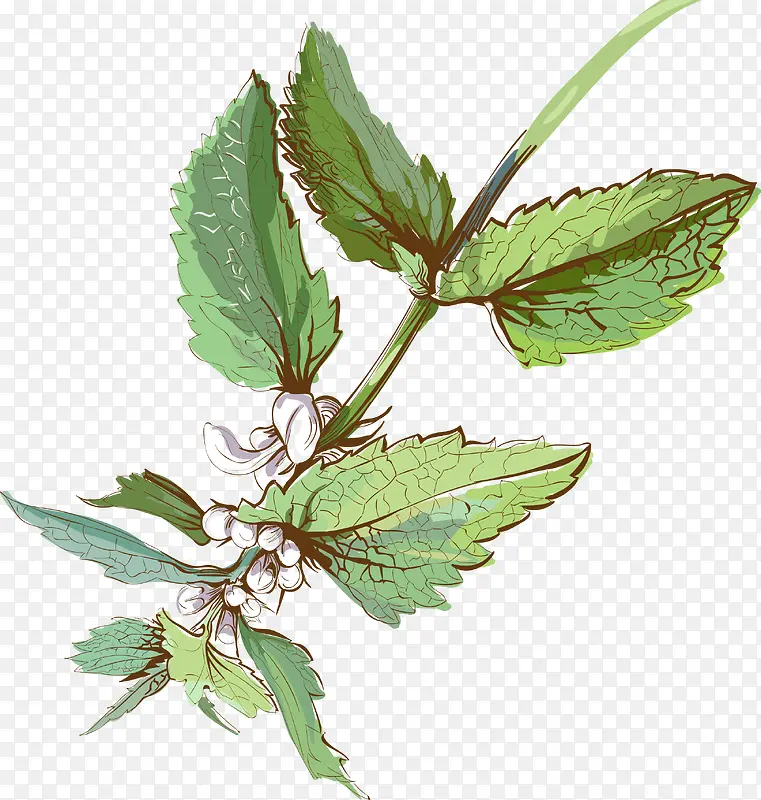 水彩清新手绘装饰花卉