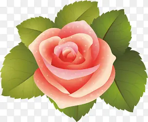 粉色鲜花玫瑰卡通