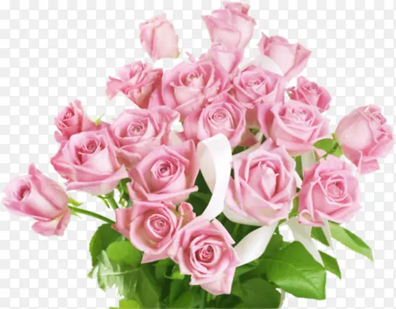 粉色鲜花玫瑰花卉情人节
