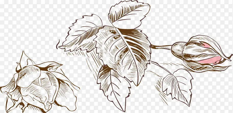 水彩清新手绘装饰花卉
