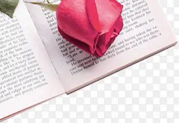 粉色鲜花玫瑰书本