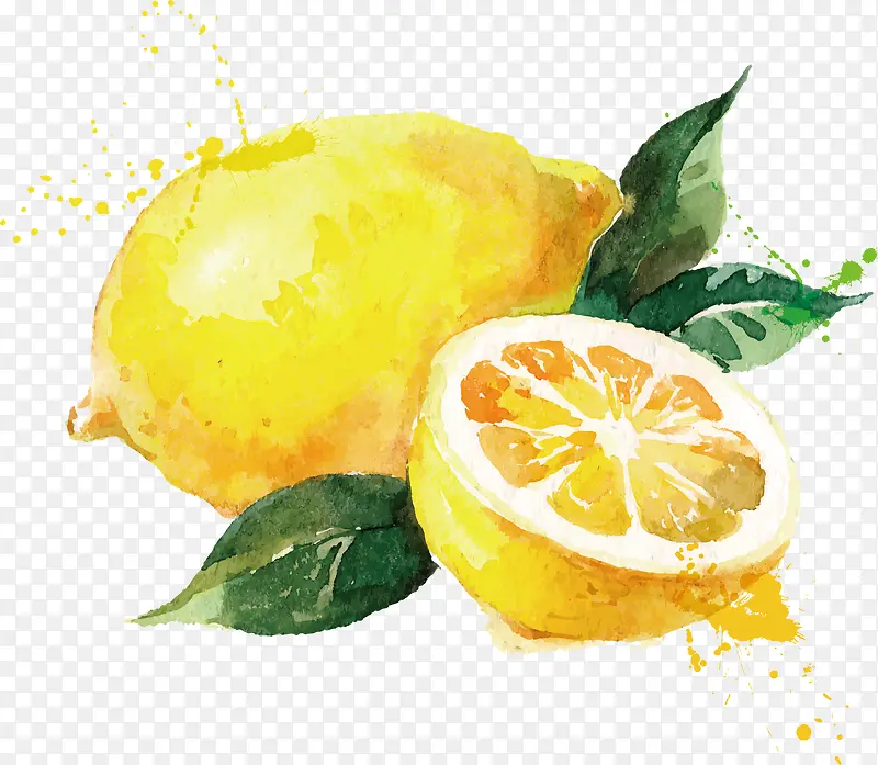 水果 水彩 柠檬