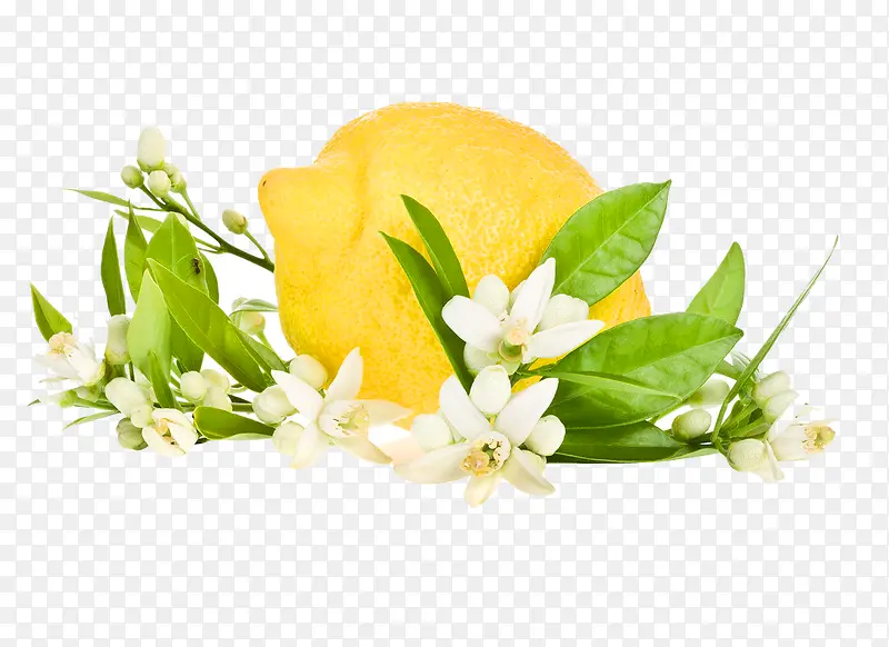 柠檬可爱花朵图片