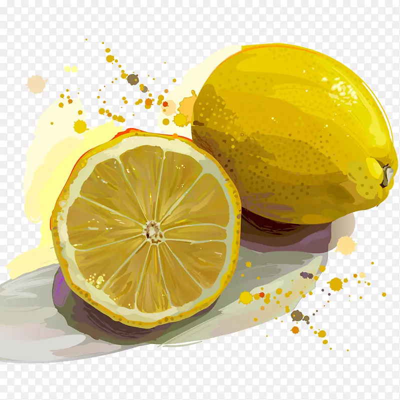 手绘水彩绘画水果柠檬