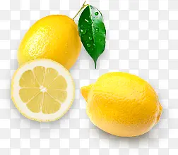 柠檬实物图水果植物图