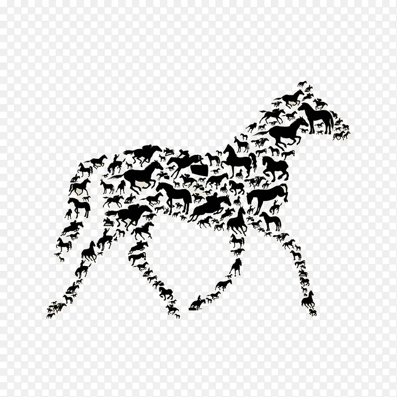 马PNG图片素材下载_图片编号qnzggjjw-免抠素材网