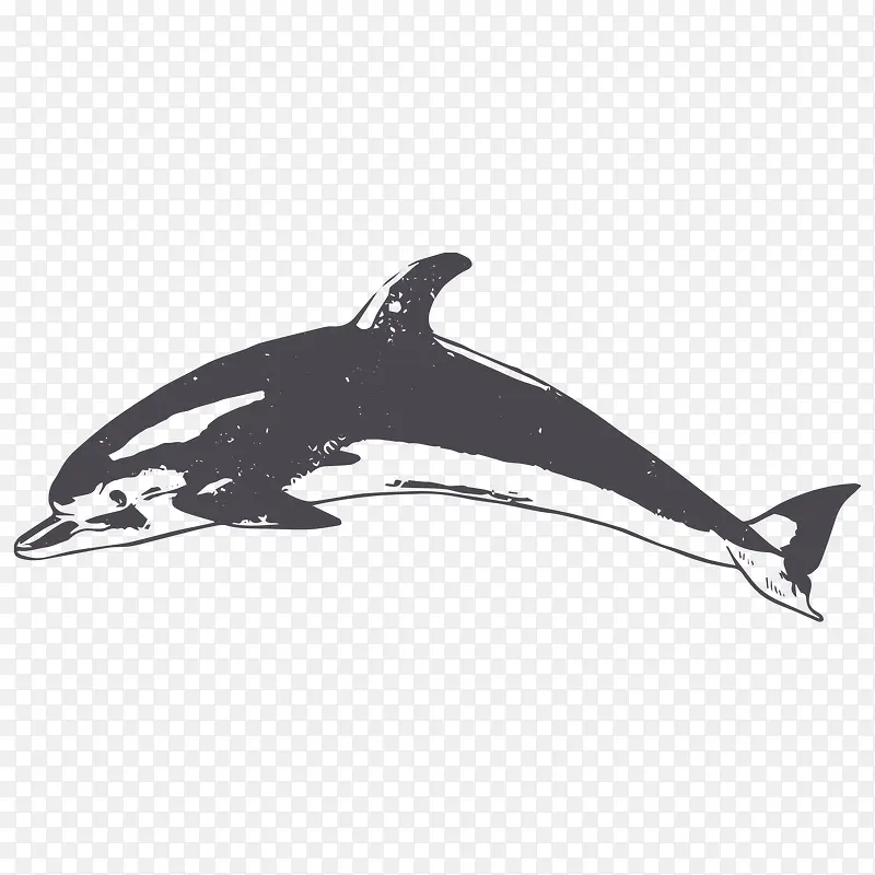 卡通手绘黑色的海豚