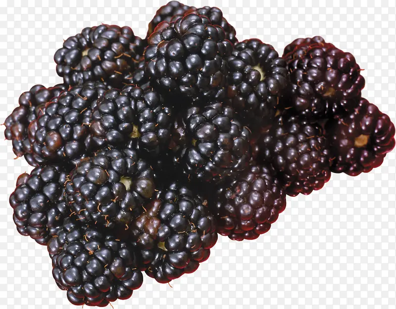 一堆美味的黑莓素材