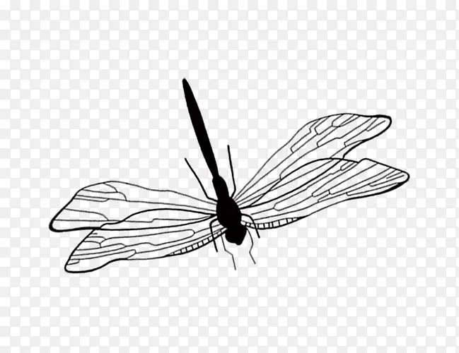 黑色手绘蜻蜓