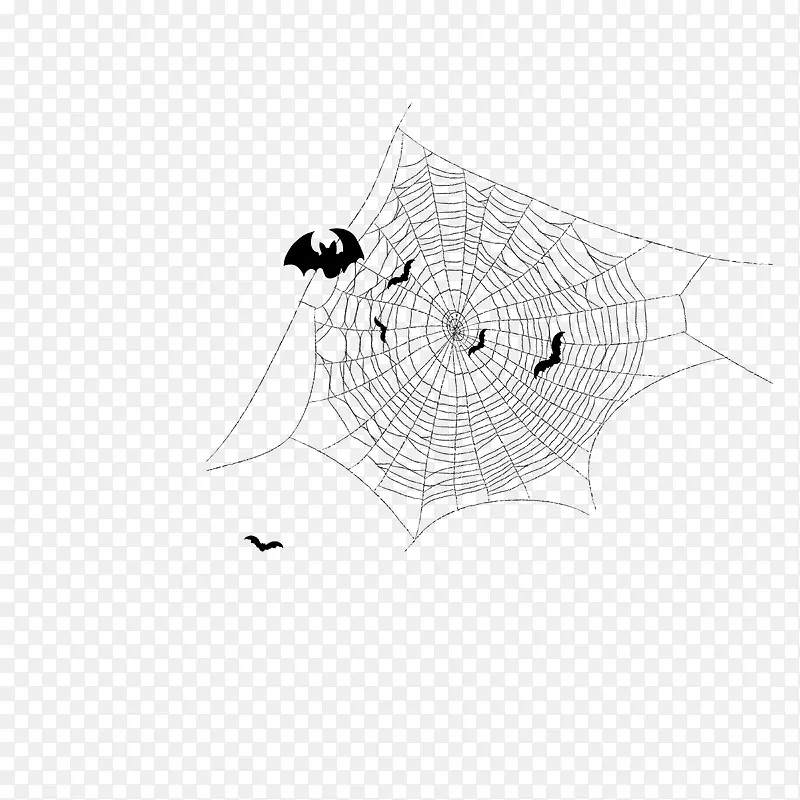 蝙蝠蜘蛛网