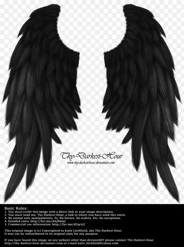 黑色天使翅膀png素材