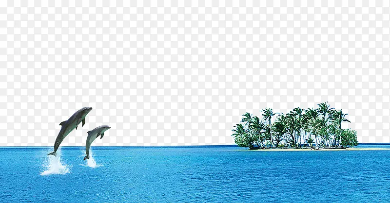 海洋海豚椰树