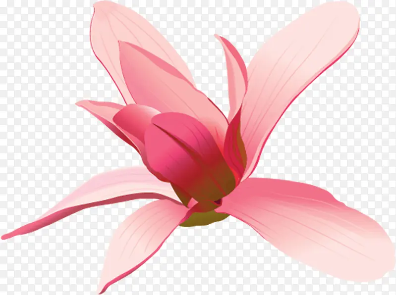 粉色唯美花朵设计手绘节日