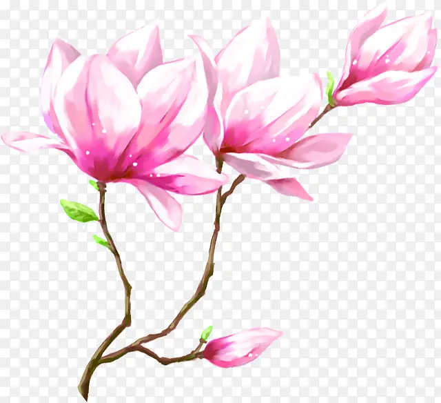 粉色花朵美景手绘