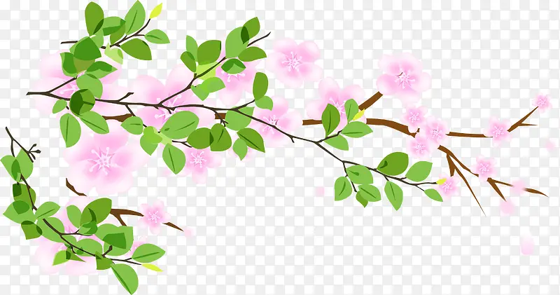 粉色唯美花朵树叶春天