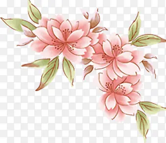 粉色手绘淡雅花朵植物