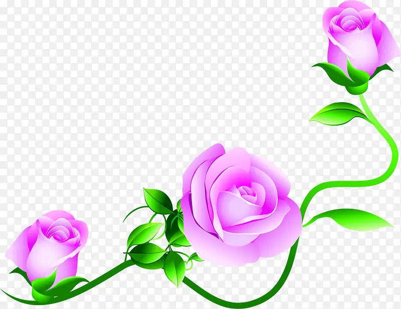 粉色玫瑰缤纷春天花朵