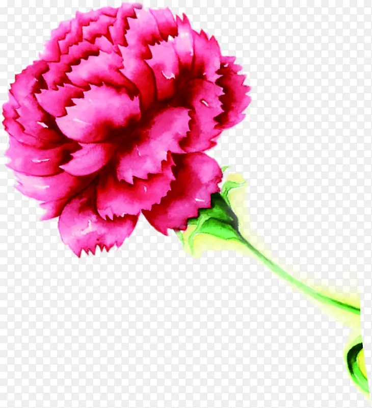 粉色水彩花朵康乃馨