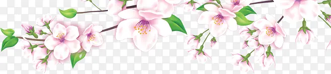 粉色春天花朵树枝装饰
