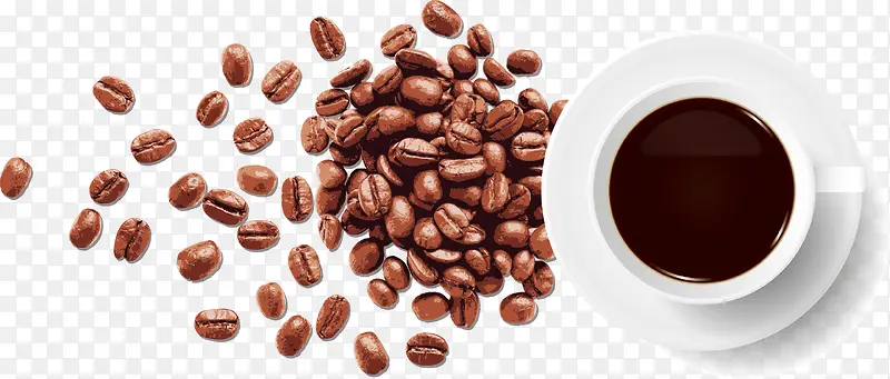 矢量咖啡杯咖啡豆