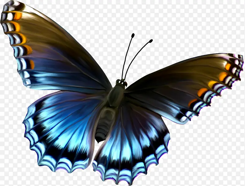 蓝色蝴蝶飞翔装饰图片