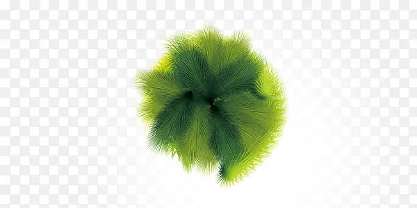 绿色植物装饰元素