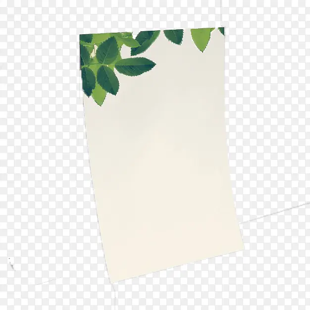 绿色植物卡纸