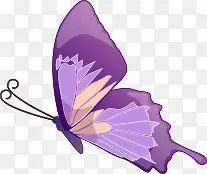 手绘水彩漫画紫色蝴蝶装饰