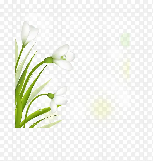 卡通清新梦幻白色小花