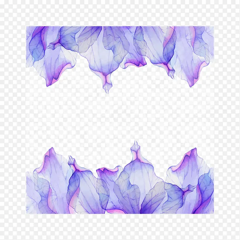 紫色花瓣边框
